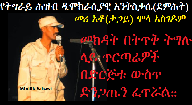 የትግራይ ሕዝብ ዲሞክራሲያዊ እንቅስቃሴ ሊቀመንበር መክዳት በትጥቅ ትግሉ ላይ ጥርጣሬዎች በድርጅቱ ውስጥ ድንጋጤን ፈጥሯል:‪:(ምንሊክ ሳልሳዊ)