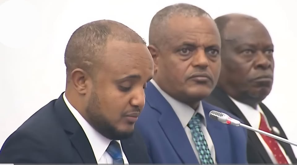 የተቃውሞ ትችት ኃላፊነትን መወጣት እንጂ ባንዳነት አይሆንም! ( ዶክተር ደሳለኝ ጫኔ )
